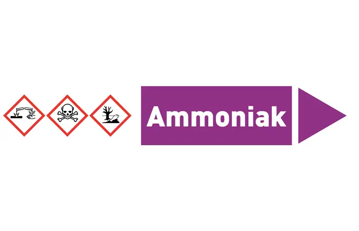 Pfeil rechts Ammoniak violett/weiß 125x25 mm